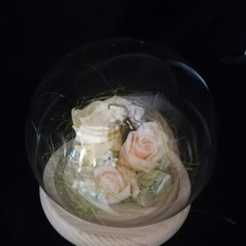 3 Roses éternelles crème, globe boule en verre et socle en bois